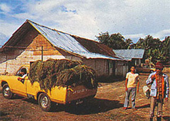 1968