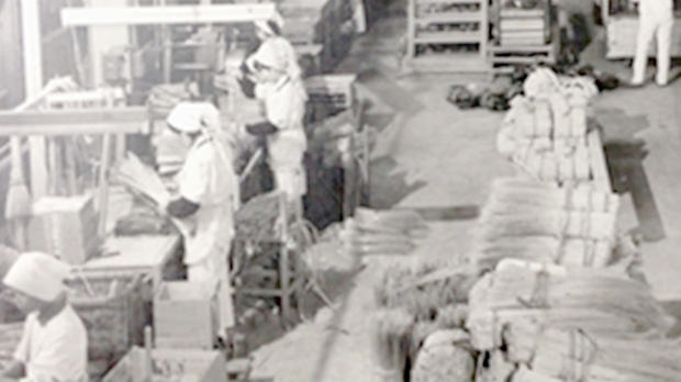 Our History Since 1896