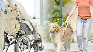 Supporting Welfare Services