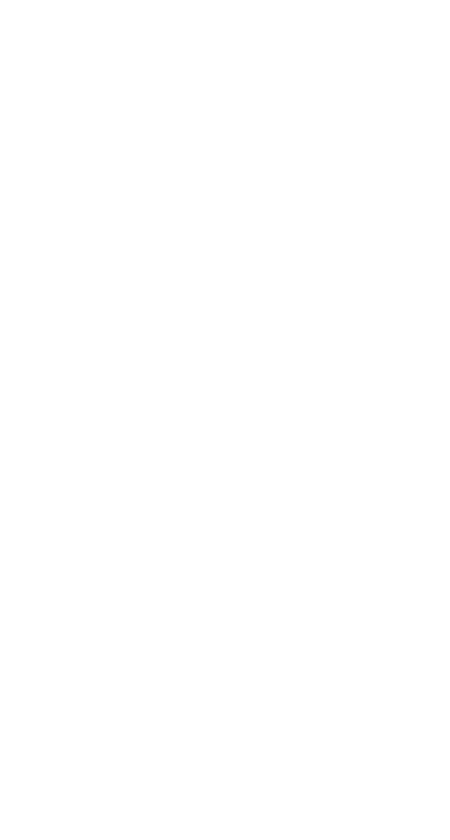 箒特集 江戸箒・鹿沼箒・棕櫚箒