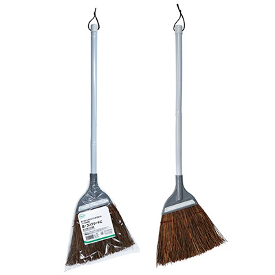 Palmyra Broom