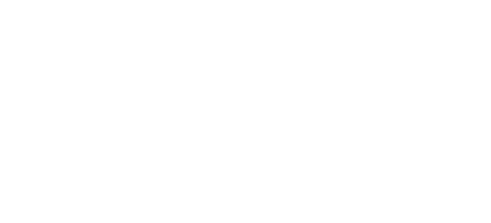 江戸箒 Edo houki